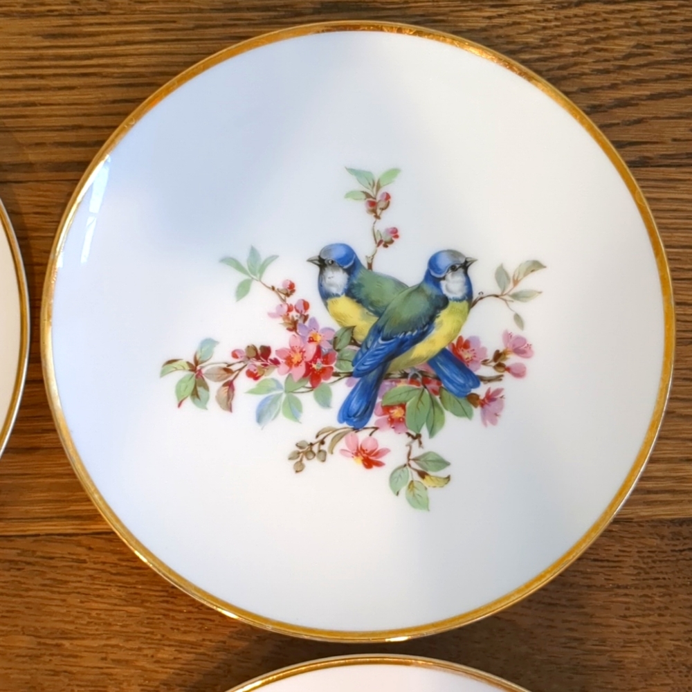 Vintage Set of Six Birds and Botanical Unique China Plates - Picture 6 of 8
